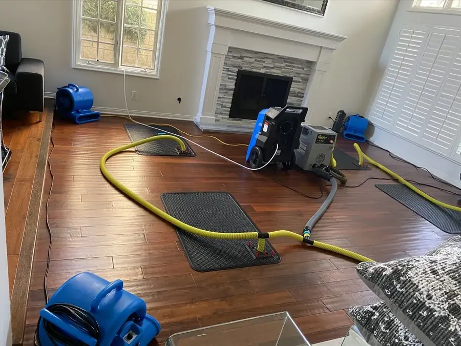 Air mover and dehumidifier drying a Natick room to a verified reading
